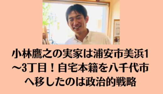 小林鷹之の実家は浦安市美浜1～3丁目！自宅本籍を八千代市へ移したのは政治的戦略