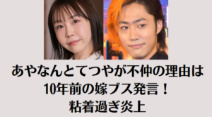 あやなんとてつやが不仲の理由は10年前の嫁ブス発言！粘着過ぎ炎上