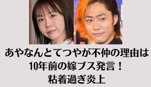 あやなんとてつやが不仲の理由は10年前の嫁ブス発言！粘着過ぎ炎上