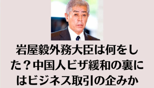 岩屋毅外務大臣は何をした？中国人ビザ緩和の裏にはビジネス取引の企みか