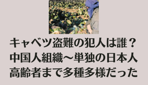 キャベツ盗難の犯人は誰？中国人組織～単独の日本人高齢者まで多種多様だった