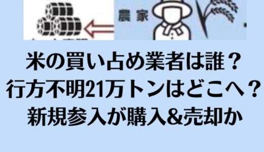 米の買い占め業者は誰？行方不明21万トンはどこへ？新規参入が購入＆売却か