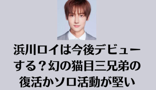 浜川ロイは今後デビューする？幻の猫目三兄弟の復活かソロ活動が堅い