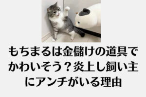 もちまるは金儲けの道具でかわいそう？炎上し飼い主にアンチがいる理由