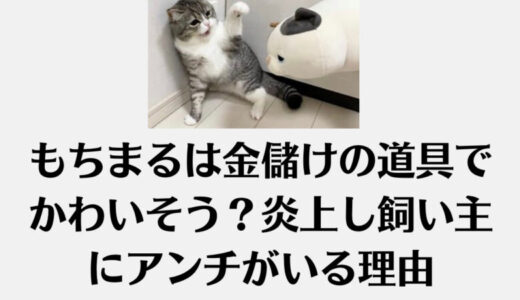 もちまるは金儲けの道具でかわいそう？炎上し飼い主にアンチがいる理由