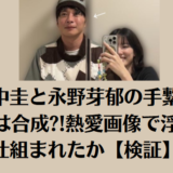 田中圭と永野芽郁の手繋ぎ写真は合成?!熱愛画像で浮気と仕組まれたか【検証】