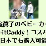 小室眞子のベビーカーはKeyFitCaddy！コスパ良く日本でも購入可能