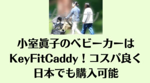 小室眞子のベビーカーはKeyFitCaddy！コスパ良く日本でも購入可能