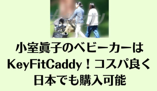 小室眞子のベビーカーはKeyFit Caddy！コスパ良く日本でも購入可能
