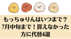 もっちゅりんはいつまで？7月中旬まで！買えなかった方には代替4商品