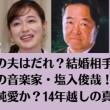 さやの夫はだれ？結婚相手は22歳差の音楽家・塩入俊哉！略奪か純愛か？14年越しの真実