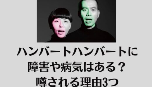 ハンバートハンバートに障害や病気はある？噂される理由3つ