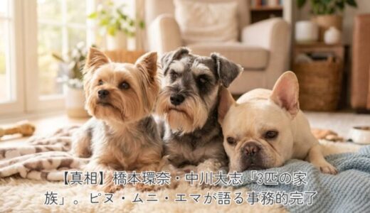 【真相】橋本環奈、豊洲3億円マンションで進む「3匹の入籍準備」。中川大志が支えるピヌ・ムニ・エマの共同生活